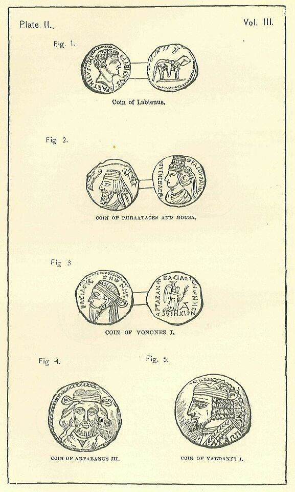 Plate 2.