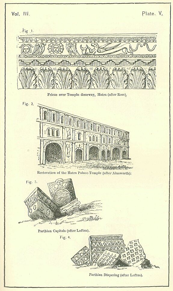 Plate 5.