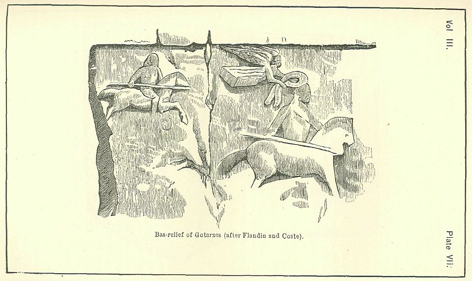 Plate 7.