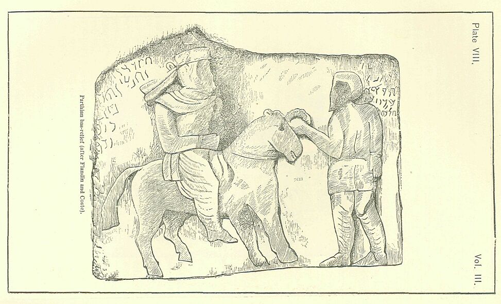 Plate 8.